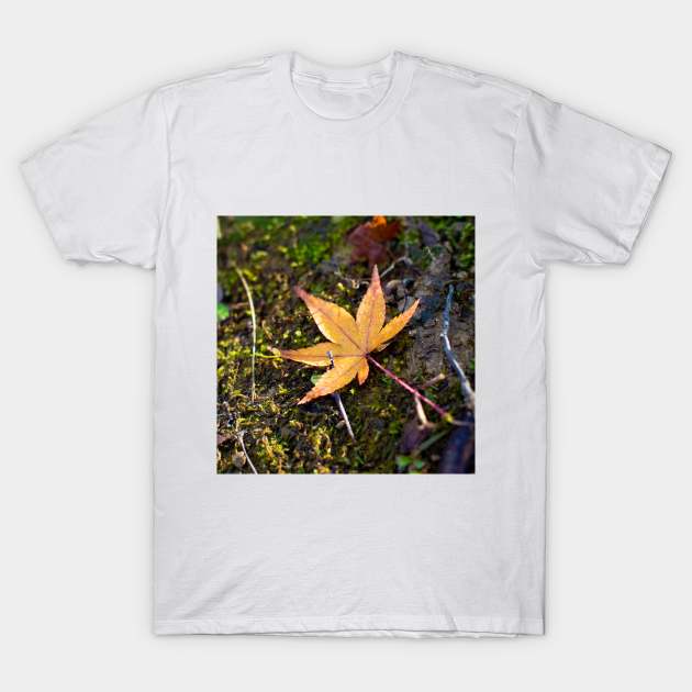 Photography - Lonely leaf T-Shirt by Karoのkyuuto